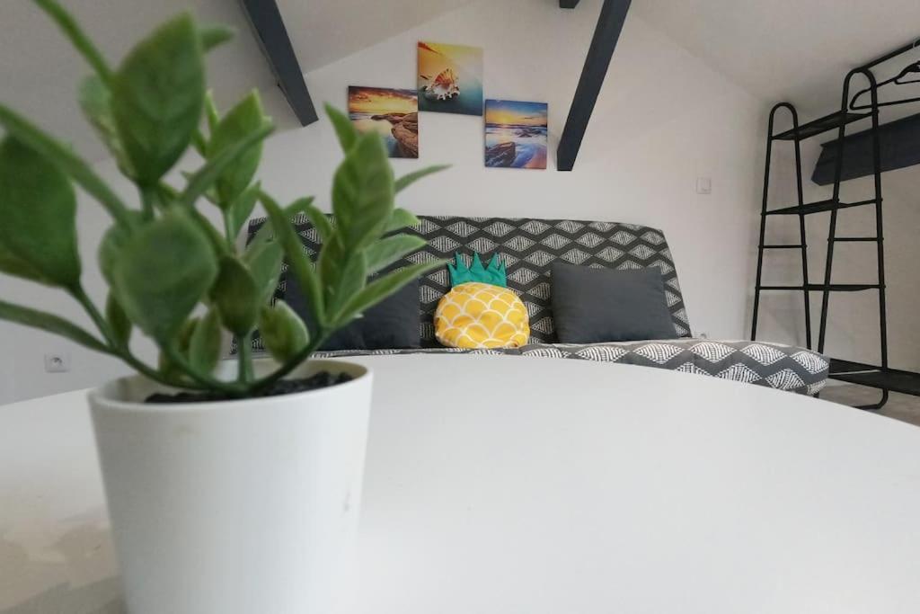 Atypique T1 Duplex - Wifi .Parking .Proche .Gare Apartment แซ็ง-ก็องแต็ง ภายนอก รูปภาพ